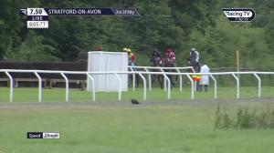 Video preview image for Stratford-on-Avon 19:50 - Visit racingtv.com Novices' Handicap Chase (4)