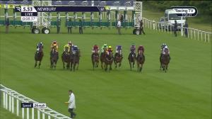 Video preview image for Newbury 17:53 - Cms Pensions EBF Fillies' Novice Stakes (4)