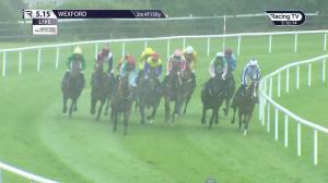 Video preview image for Wexford 17:15 - Neville Hotels Maiden Hurdle 