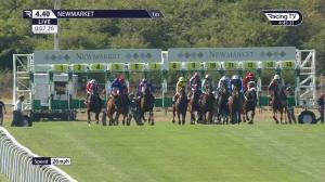 Video preview image for Newmarket 16:40 - Weatherbys Hamilton Handicap (3)