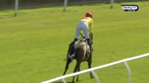 Video preview image for Carlisle 17:05 - Westward Handicap (5)