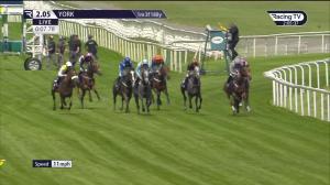 Video preview image for York 14:05 - William Hill Best Odds Guaranteed Handicap (3)
