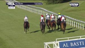 Video preview image for Salisbury 19:15 - Pam Bruford Memorial Fillies' Handicap (4)