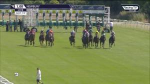 Video preview image for Newbury 13:00 - R & M Electrical EBF Novice Stakes (4) (Div 1)