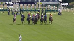 Video preview image for Newbury 13:33 - R & M Electrical EBF Novice Stakes (4) (Div 2)