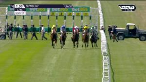 Video preview image for Newbury 13:50 - Bet365 Stakes (Steventon) (Listed) (1)