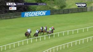 Video preview image for Limerick 17:45 - Glin Beginners Chase