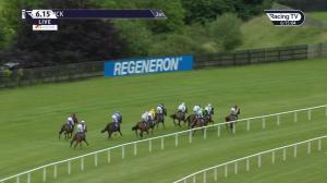 Video preview image for Limerick 18:15 - Jim Ryan Racecourse Services Handicap Chase