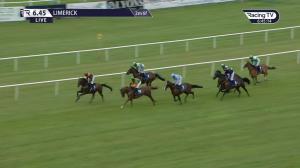 Video preview image for Limerick 18:45 - Croom Mares Beginners Chase