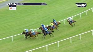 Video preview image for Limerick 17:45 - Aqua Process Solutions Mares Rated Novice Hurdle 