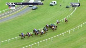 Video preview image for Limerick 18:15 - D Park Services Handicap Hurdle 