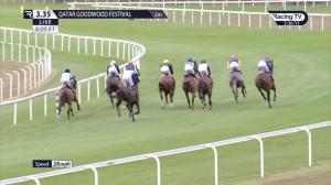 Video preview image for Goodwood 15:35 - Al Shaqab Goodwood Cup (Group 1) (1)