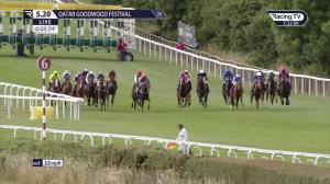 Video preview image for Goodwood 17:20 - World Pool Handicap (3)