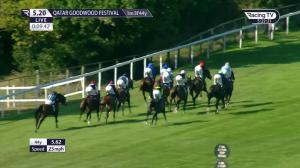 Video preview image for Goodwood 17:20 - Oliver Brown Handicap (3)
