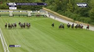 Video preview image for Goodwood 15:20 - Coral Stewards’ Cup (Heritage Handicap) (2)