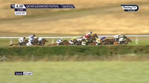 Video preview image for Goodwood 16:30 - Federation Of Bloodstock Agents Handicap (3)