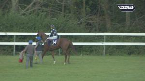 Video preview image for Leopardstown 19:50 - Leopardstown Golf Centre Handicap (Div 2)