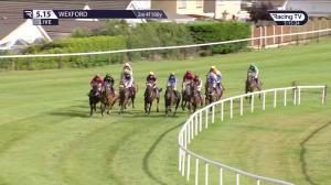 Video preview image for Wexford 17:15 - Traynors Of Wexford For Dulux Heritage Handicap Hurdle 
