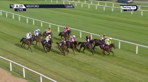 Video preview image for Wexford 18:25 -  Irish Whisky Beginners Chase 