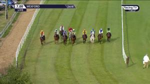Video preview image for Wexford 19:00 - Support The Irish Injured Jockeys Opportunity Handicap Chase 