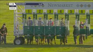 Video preview image for Newmarket 19:10 - racingtv.com Handicap (2)
