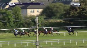 Video preview image for Wexford 19:35 - Wexford Welcomes Racing TV Members Handicap Chase 