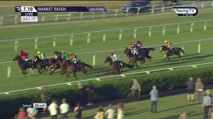 Video preview image for Market Rasen 19:10 - Roman Fields Novices' Handicap Chase (5)