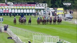 Video preview image for York 14:25 - Goffs UK Harry Beeby Premier Yearling Stakes (2)