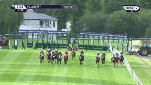 Video preview image for Killarney 19:05 - Mongey Communications Kingdom Gold Cup (Premier Handicap)
