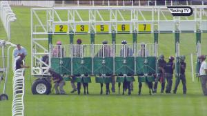 Video preview image for Sandown Park 15:15 - Hampton Handicap (3)
