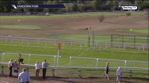 Video preview image for Killarney 17:40 - Jim Ryan Race Services (Pro/Am) I.N.H. Flat 