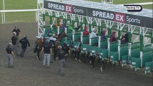 Video preview image for Chelmsford City 17:26 - EBF Fillies' Restricted Novice Stakes (5)