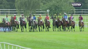 Video preview image for Killarney 17:05 - Tote Always SP Or Better Handicap Chase (Grade B)
