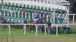 Video preview image for Sandown Park 16:25 - Esher Maiden Fillies' Stakes (4)