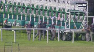 Video preview image for Sandown Park 17:00 - Twickenham Nursery Handicap (Qualifier) (4)