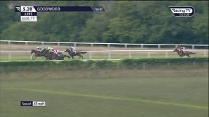 Video preview image for Goodwood 17:20 - William Hill Best Odds Guaranteed Handicap (4)
