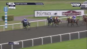 Video preview image for Wexford 14:10 - Adare Manor Opportunity Maiden Hurdle 