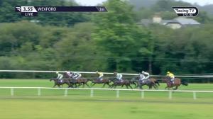 Video preview image for Wexford 15:55 - Wexford Mares Maiden Hurdle 