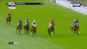 Video preview image for Goodwood 17:20 - William Hill Pick Your Places Handicap (4)