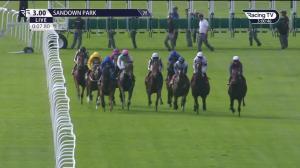 Video preview image for Sandown Park 15:00 - Blandford Bloodstock Novice Stakes (3)