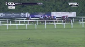 Video preview image for Newbury 16:35 - Dubai Duty Free Handicap (2)