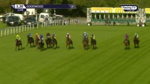 Video preview image for Goodwood 17:20 - South Downs Water Handicap (4)