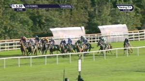 Video preview image for Listowel 17:30 - Treo Eile Retraining Ireland's Racehorses Handicap