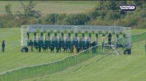 Video preview image for Newmarket 14:06 - Turners Fillies' Handicap (3)