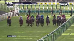 Video preview image for Haydock Park 14:05 - J W Lees Mpa Handicap (3)