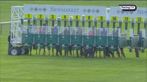 Video preview image for Newmarket 17:25 - Turners Handicap (2)