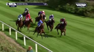 Video preview image for Down Royal 13:30 - Madri Excepcional Maiden 