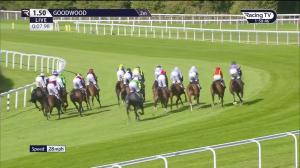 Video preview image for Goodwood 13:50 - Wynne Tufnell Alderbrook Handicap (Professional Jump Jockeys) (4)