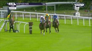 Video preview image for Kempton Park 14:50 - Racing TV Novices' Hurdle (Listed) (1)