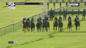 Video preview image for Newmarket 16:45 - British Stallion Studs EBF Future Stayers Novice Stakes (Sire and Dam-Restricted) (2)
